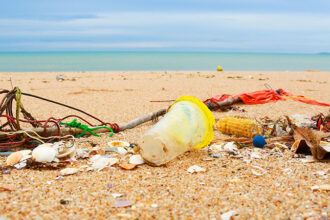 marine pollution