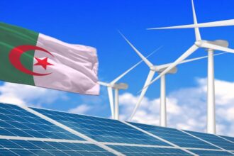 Algeria’s Energy Strategy: Balancing Hydrocarbons and the Green Transition